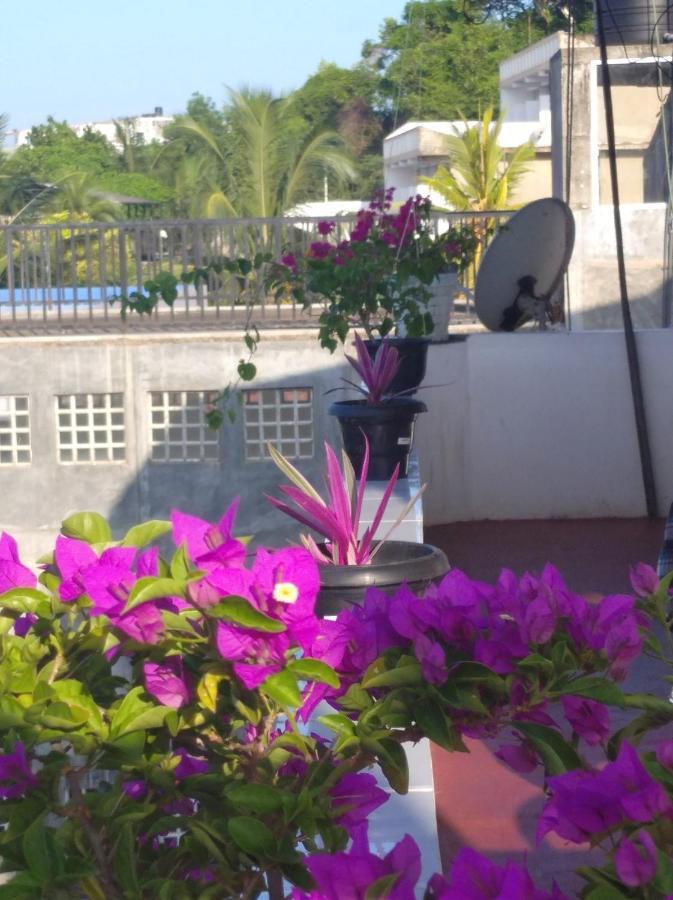 Sun Ocean Inn Mirissa Εξωτερικό φωτογραφία